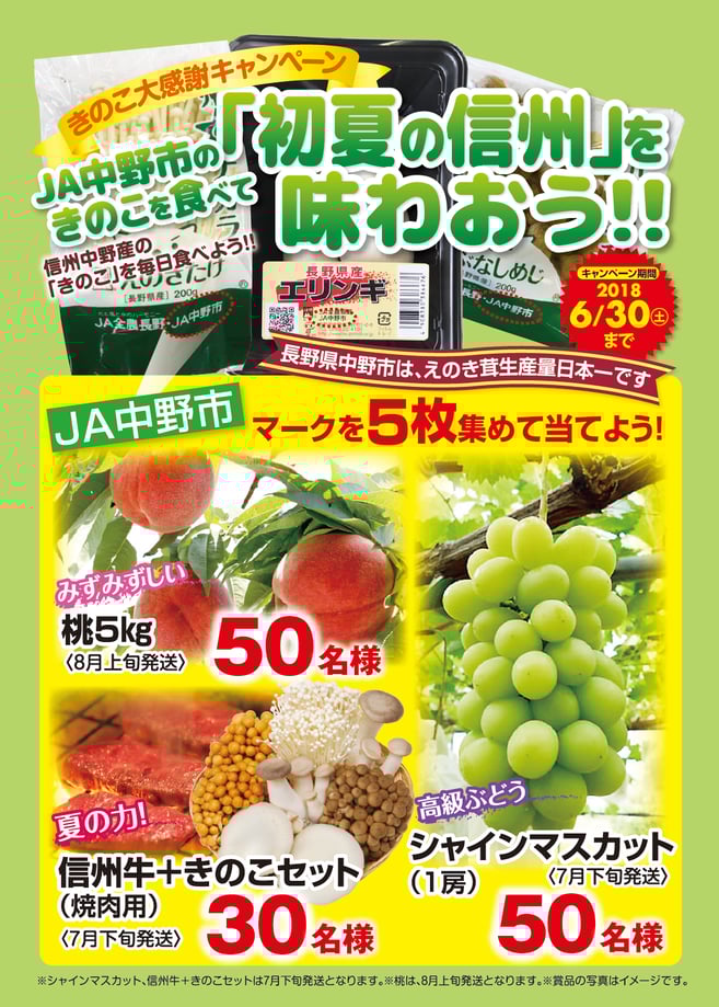 きのこキャンペーン.png