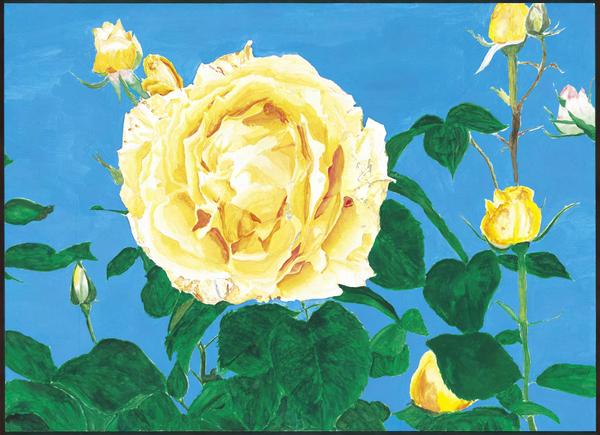 優雅に咲き誇る薔薇