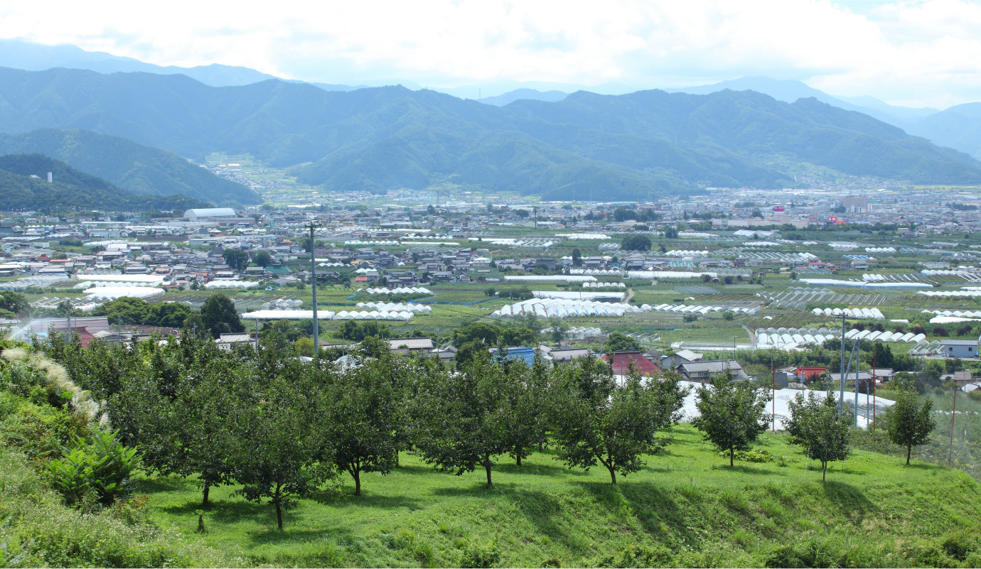 JA中野市の概要・アクセス