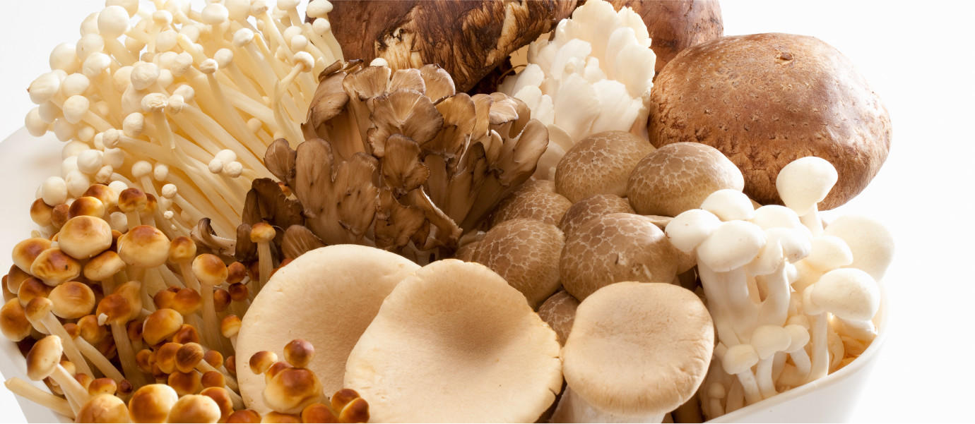 JA中野市ときのこ | きのこを楽しむ | JA中野市