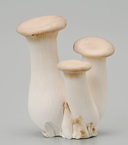 img05