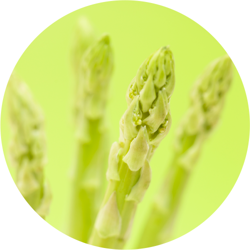 野菜・水稲