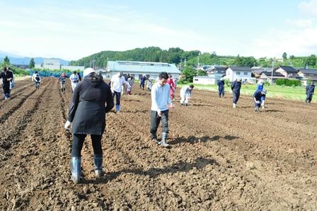 JA職員との種まき