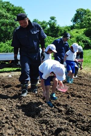 小学生との種まき